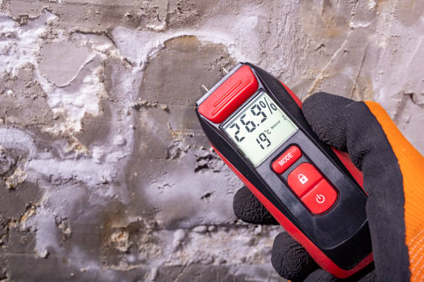 Best Crawl Space Mold Remediation in Warr Acres, OK